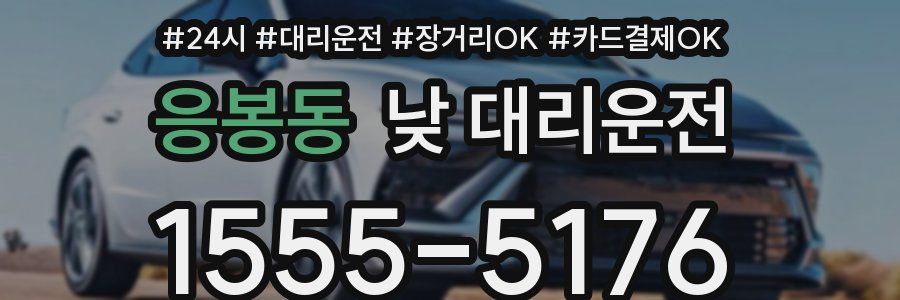 응봉동 낮 대리운전