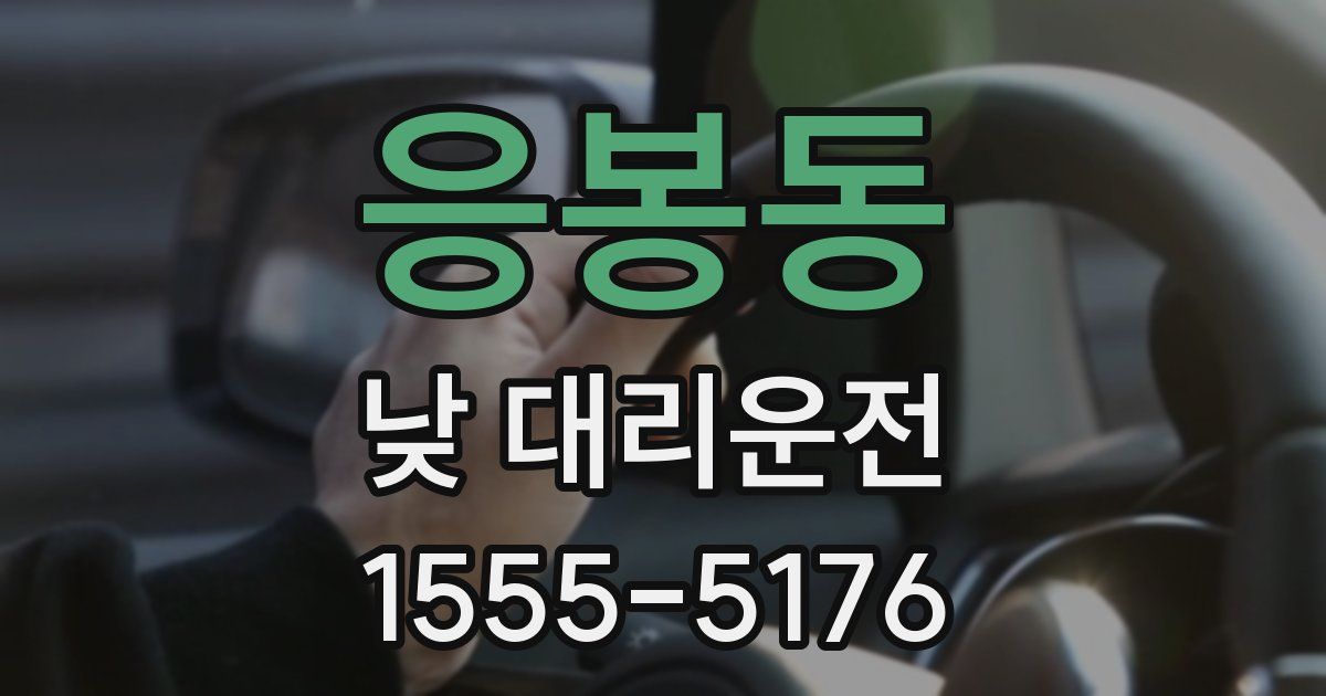 응봉동 낮 대리운전