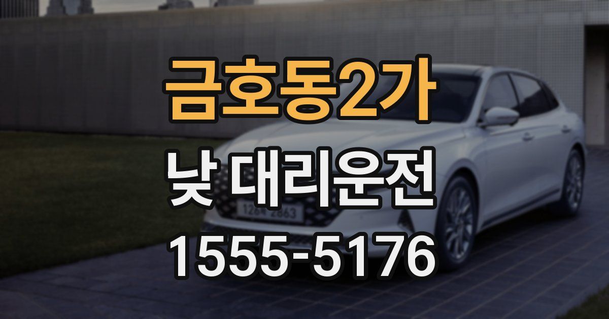 금호동2가 낮 대리운전