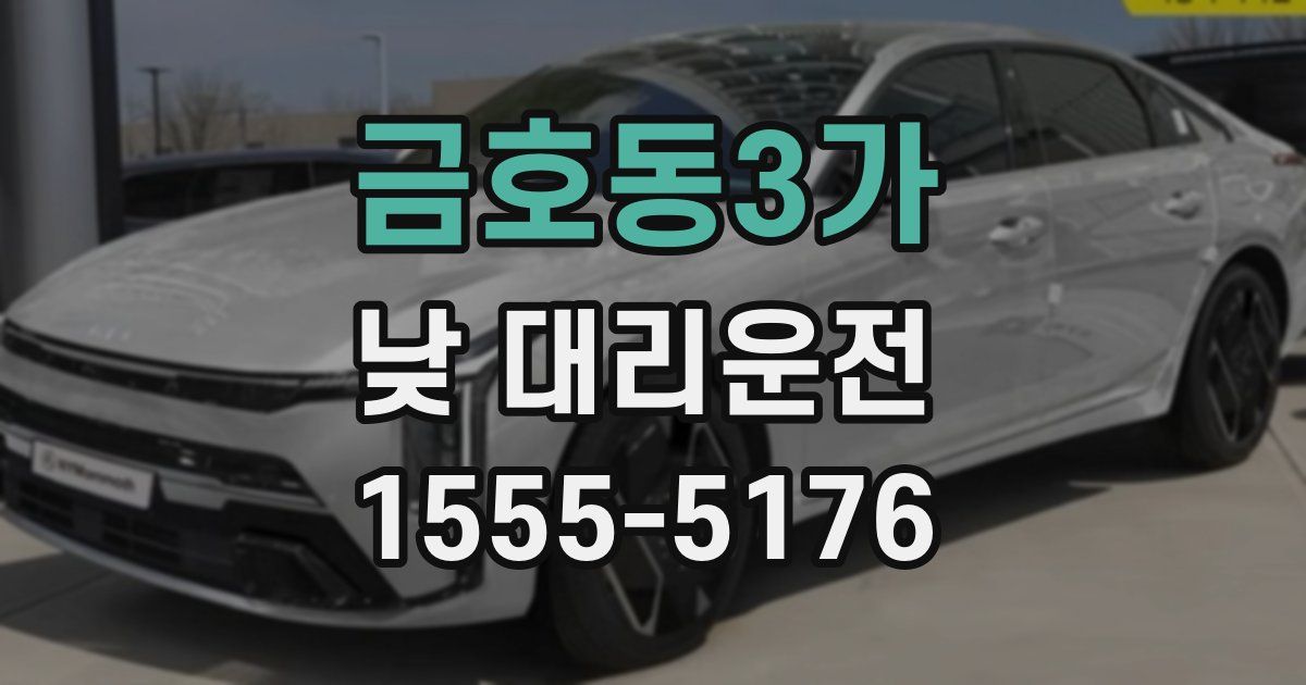 금호동3가 낮 대리운전
