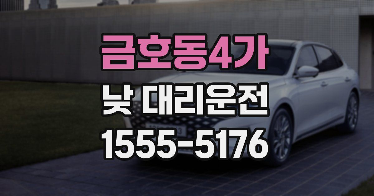 금호동4가 낮 대리운전