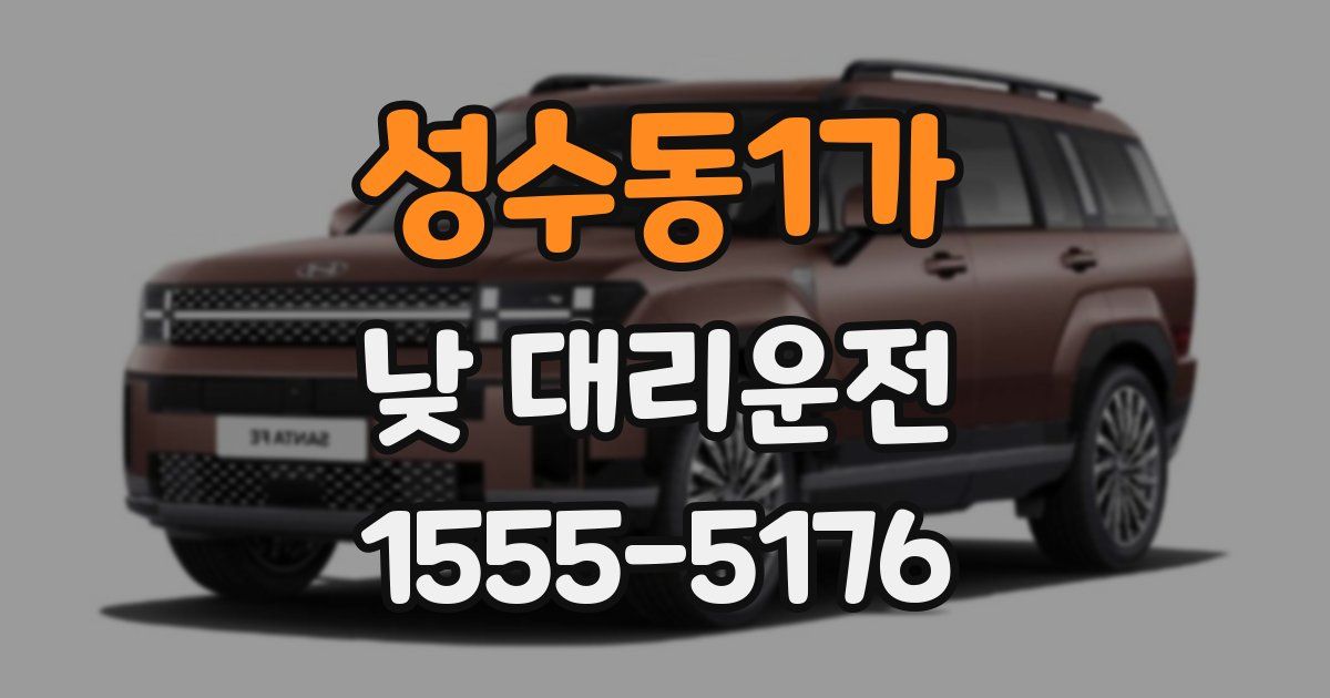 성수동1가 낮 대리운전