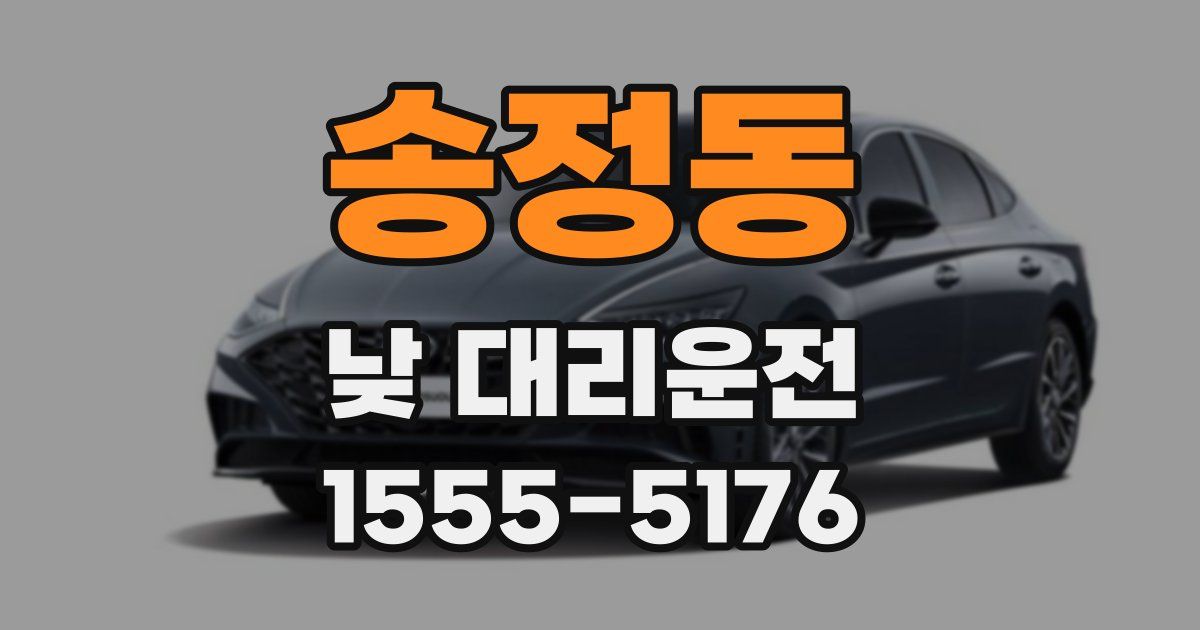 송정동 낮 대리운전