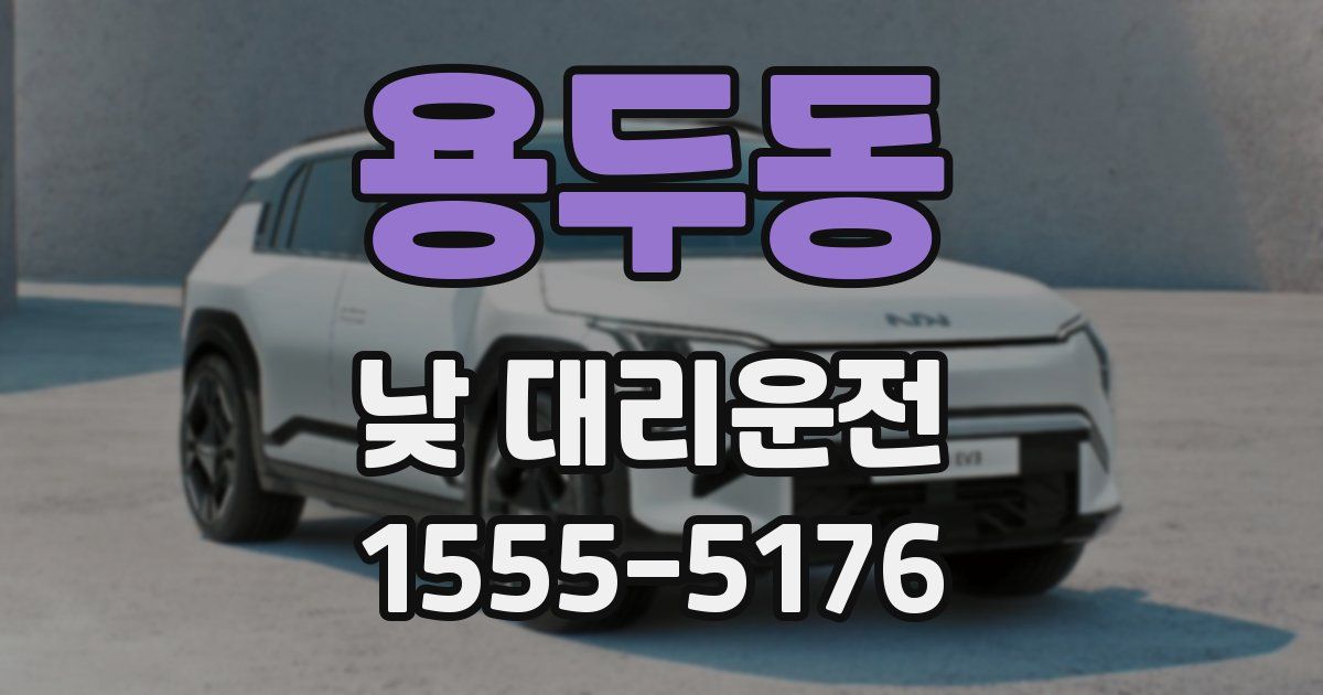 용두동 낮 대리운전