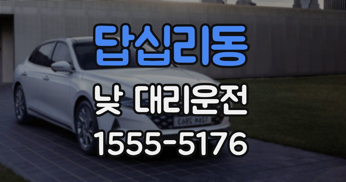 답십리동 낮 대리운전