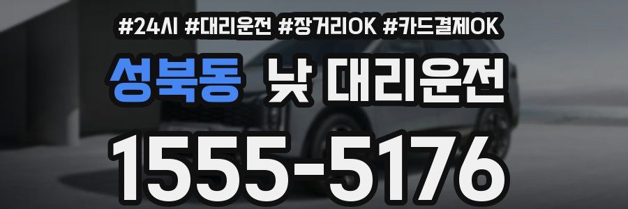 성북동 낮 대리운전