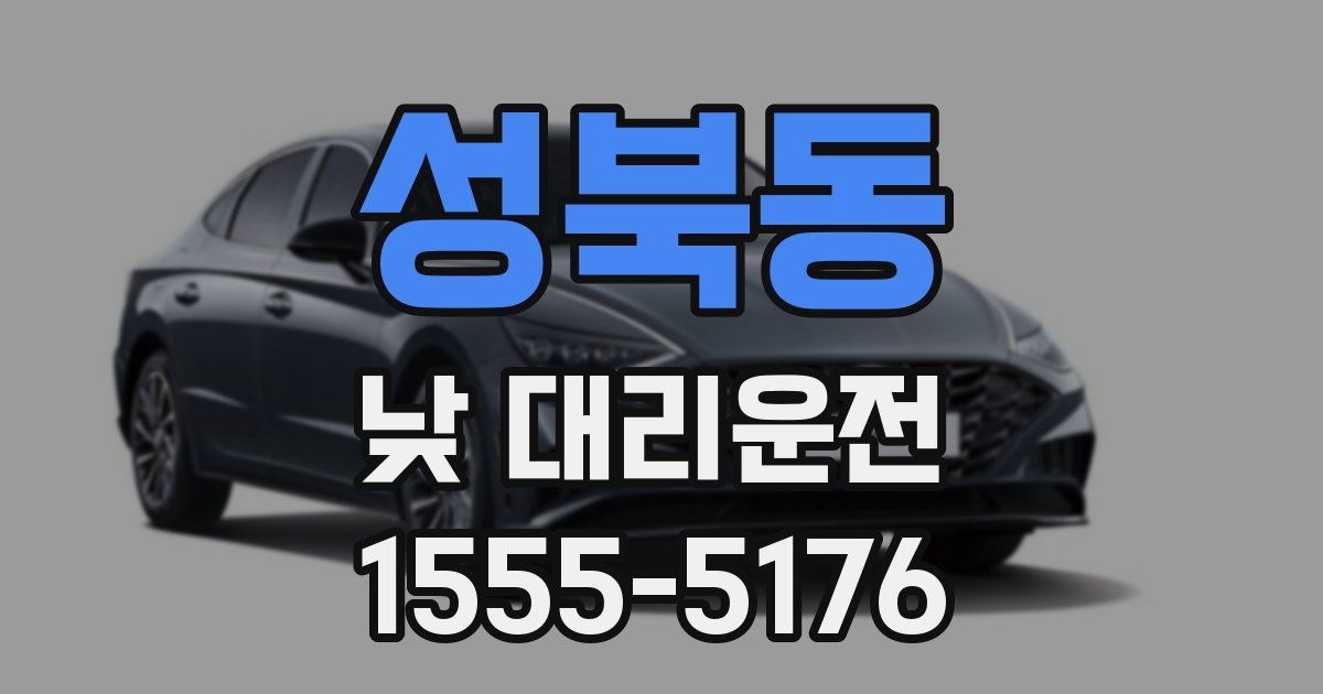 성북동 낮 대리운전
