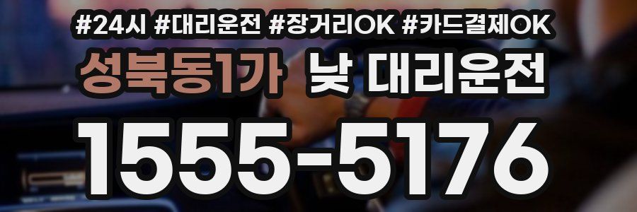 성북동1가 낮 대리운전