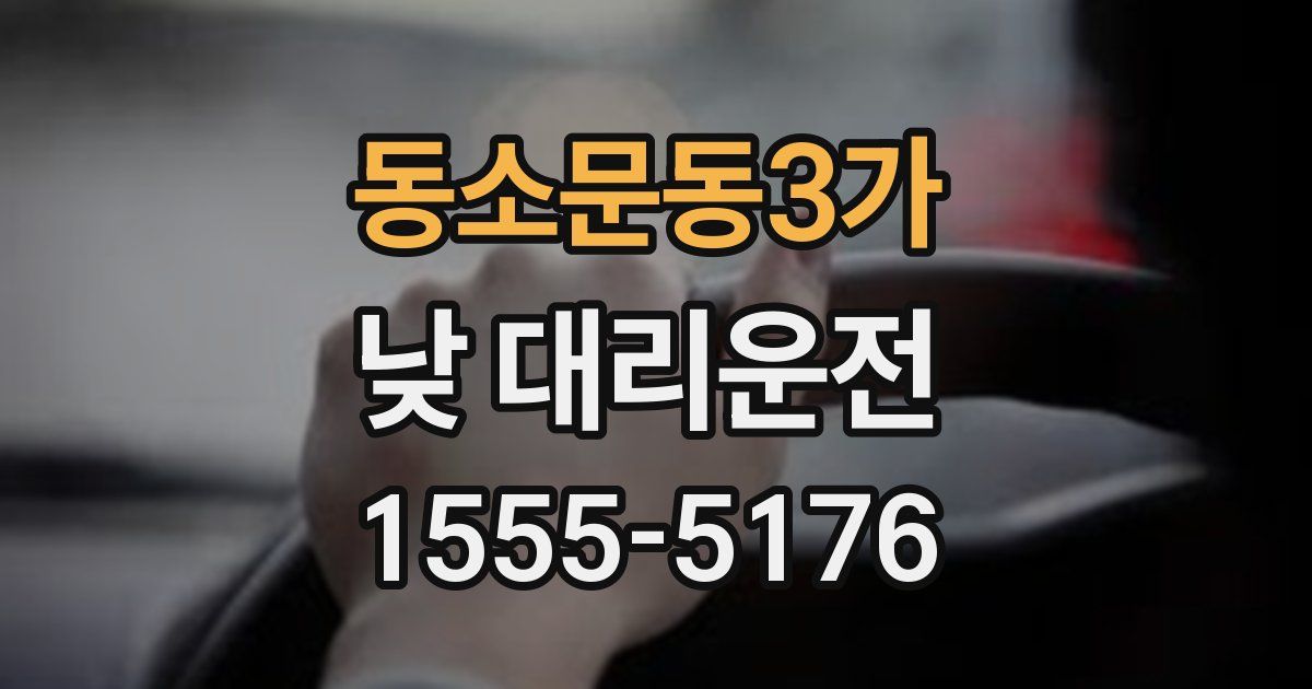 동소문동3가 낮 대리운전