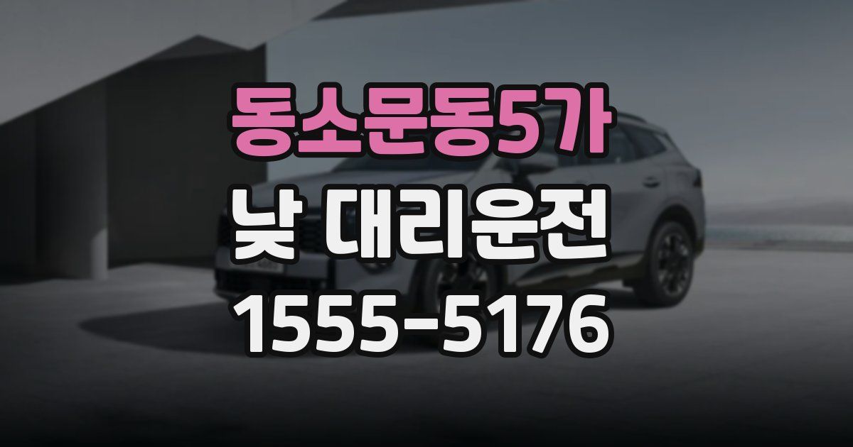 동소문동5가 낮 대리운전