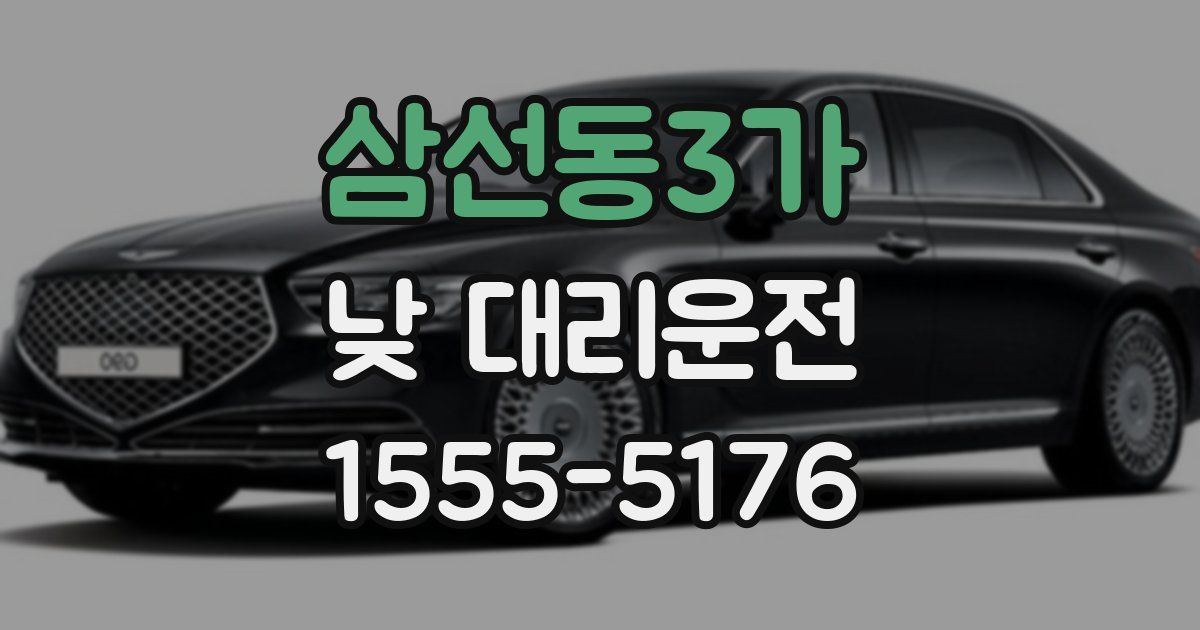 삼선동3가 낮 대리운전