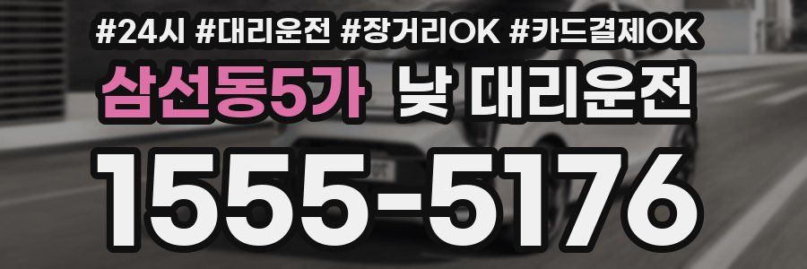 삼선동5가 낮 대리운전