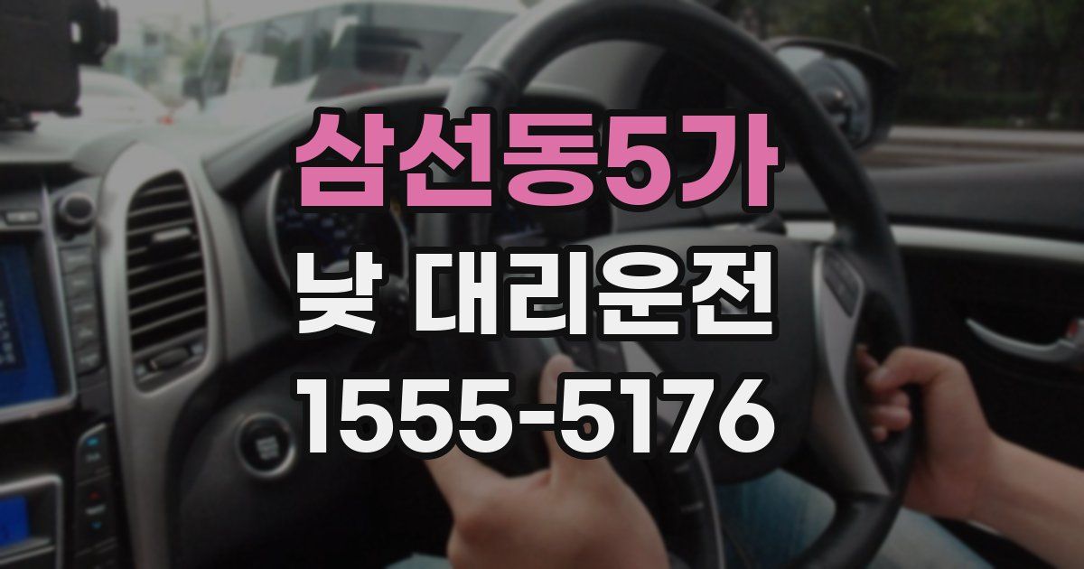 삼선동5가 낮 대리운전