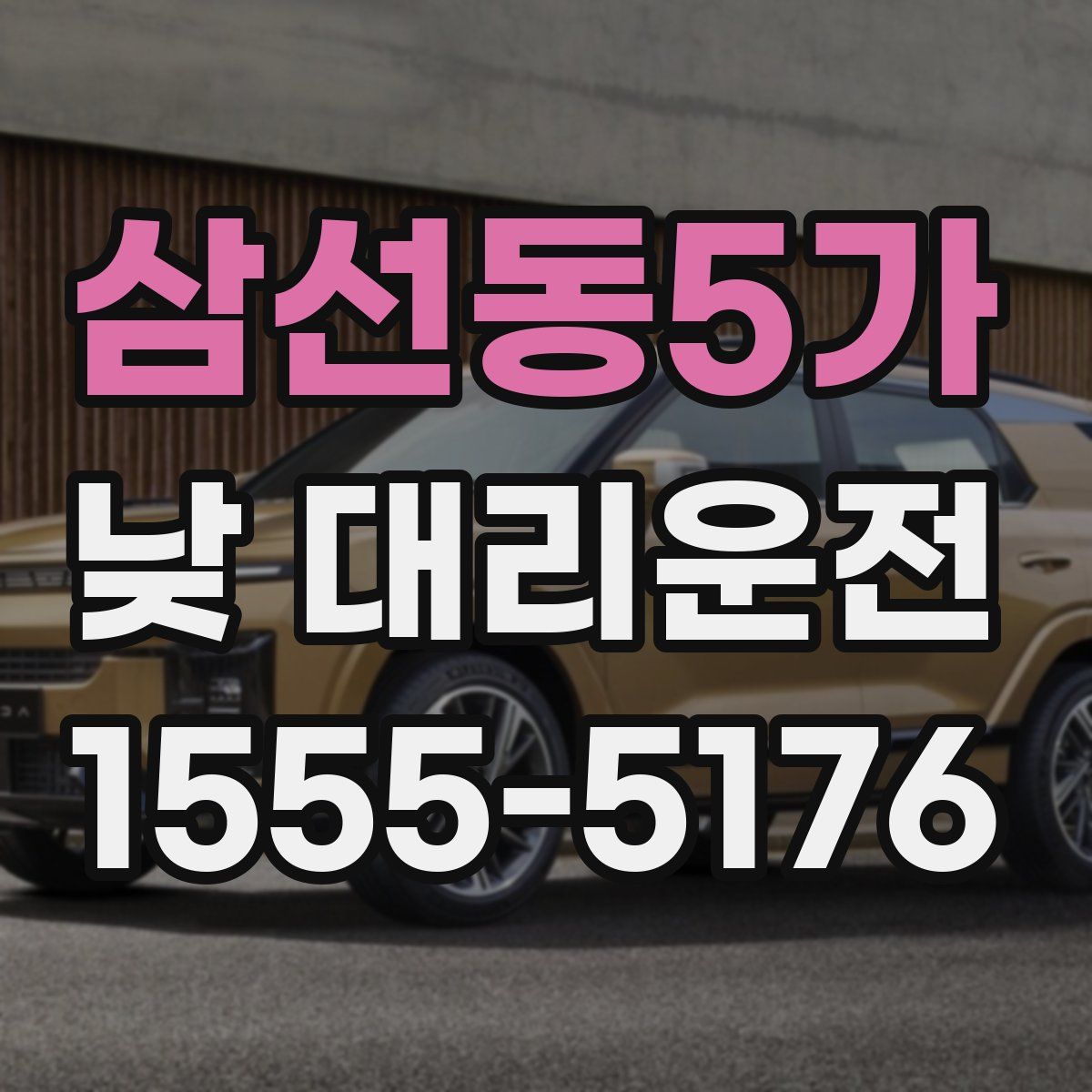 삼선동5가 낮 대리운전
