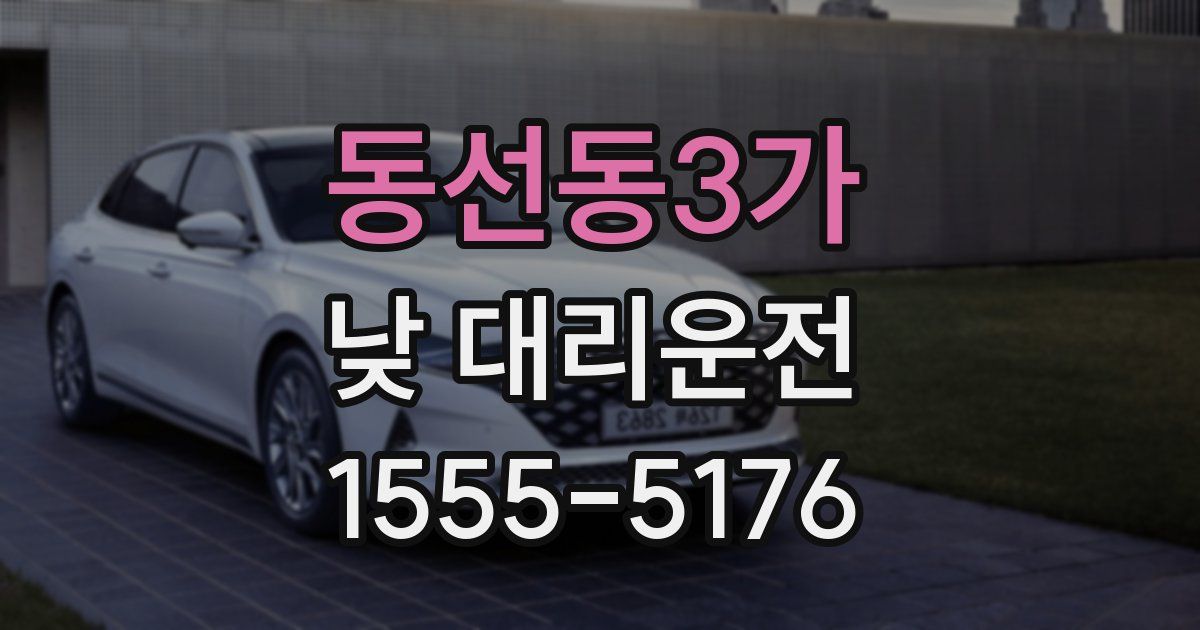 동선동3가 낮 대리운전