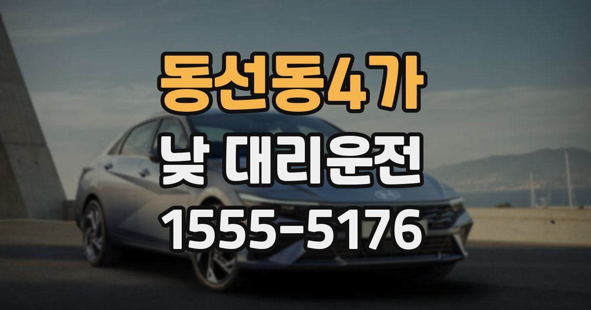 동선동4가 낮 대리운전