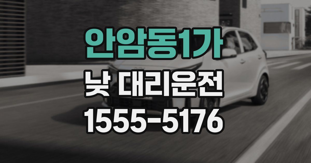 안암동1가 낮 대리운전