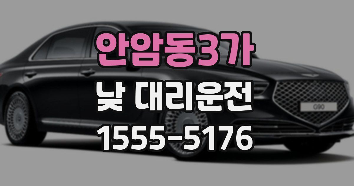 안암동3가 낮 대리운전