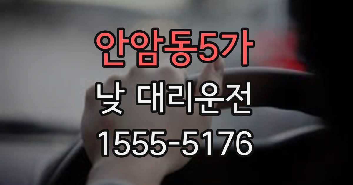 안암동5가 낮 대리운전