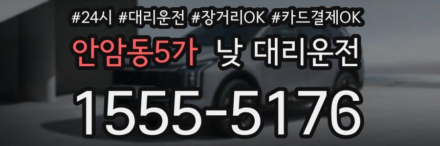 안암동5가 낮 대리운전