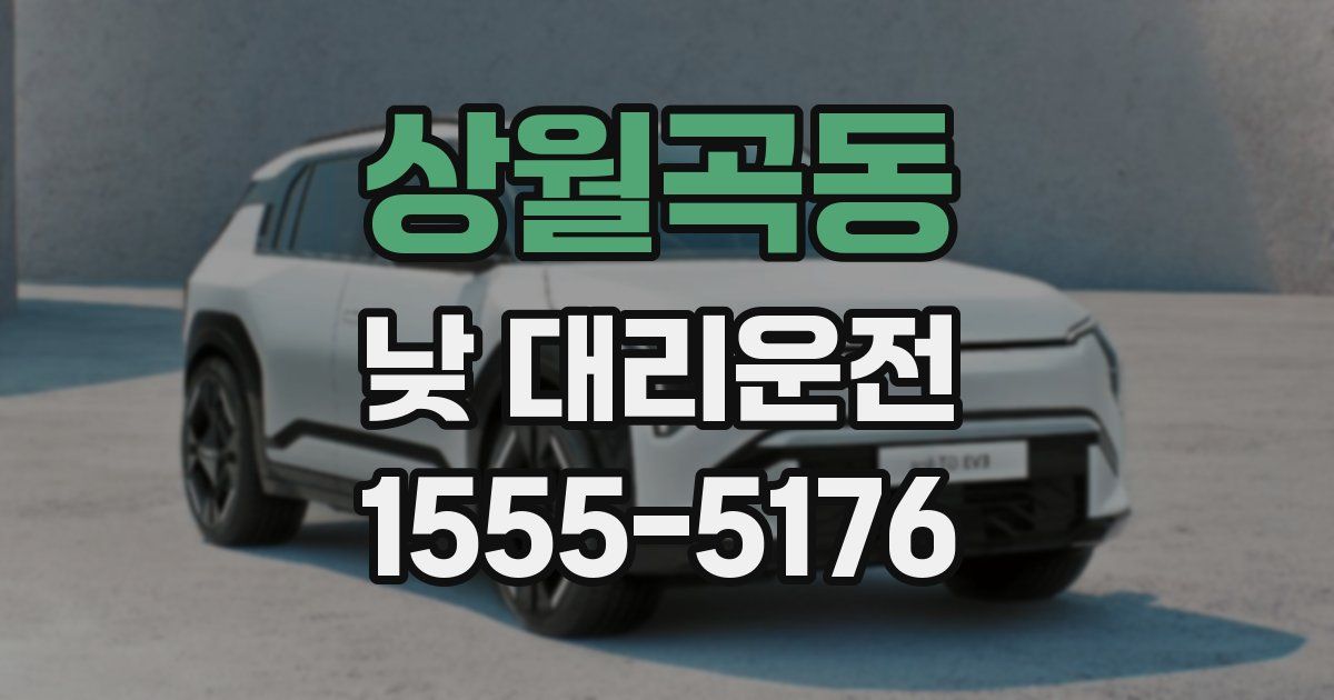 상월곡동 낮 대리운전