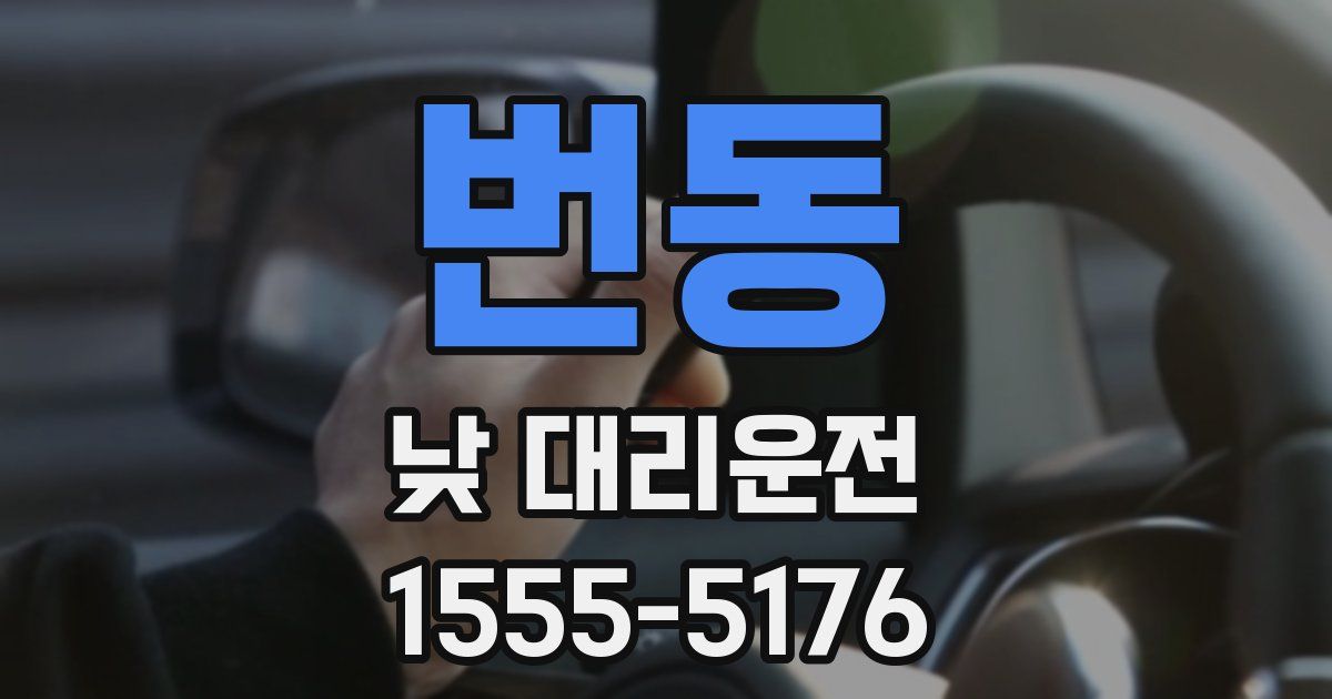 번동 낮 대리운전