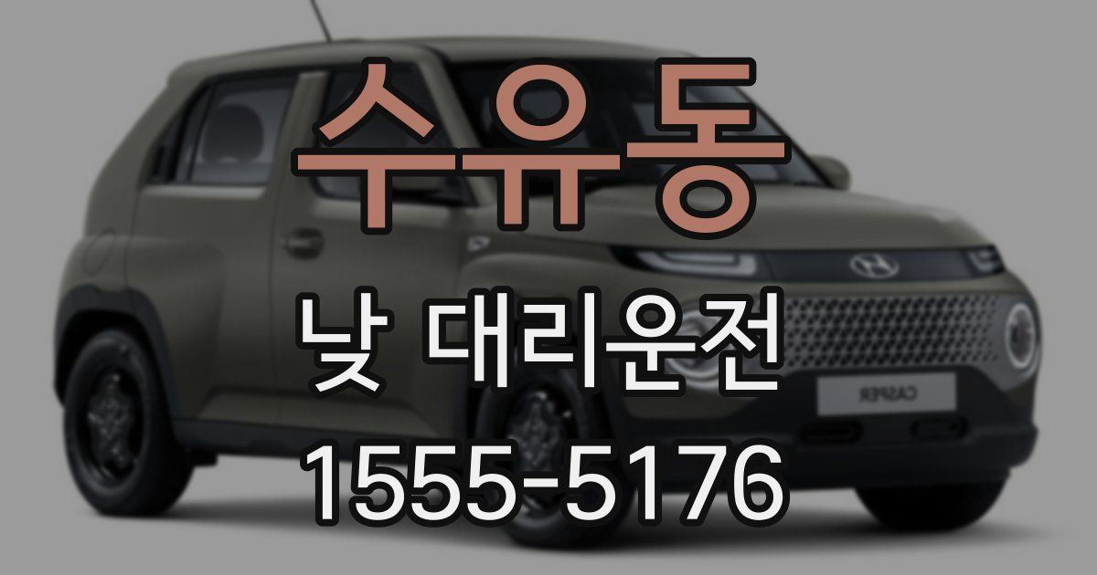 수유동 낮 대리운전