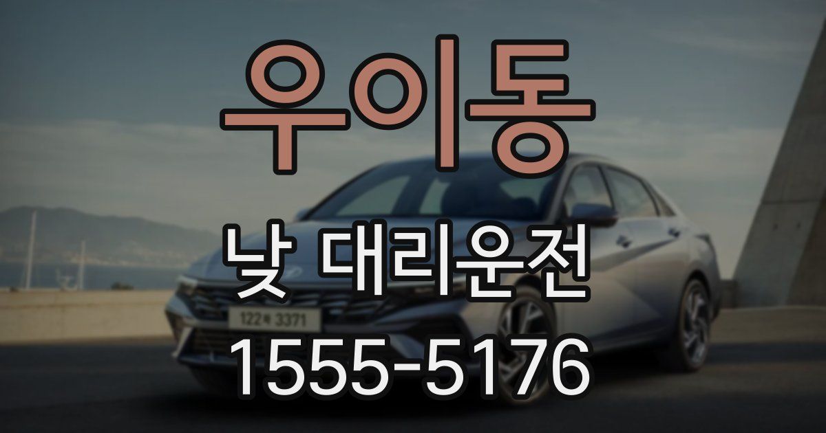 우이동 낮 대리운전