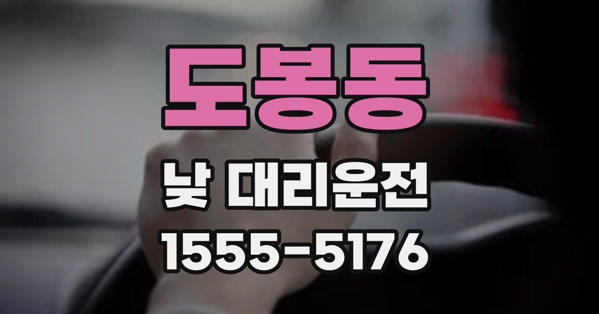 도봉동 낮 대리운전