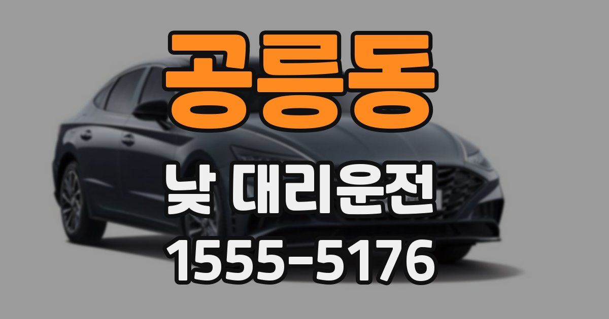 공릉동 낮 대리운전