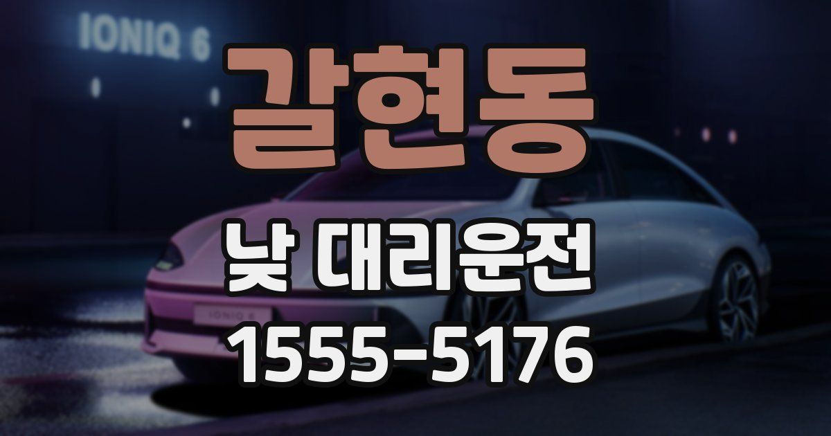 갈현동 낮 대리운전