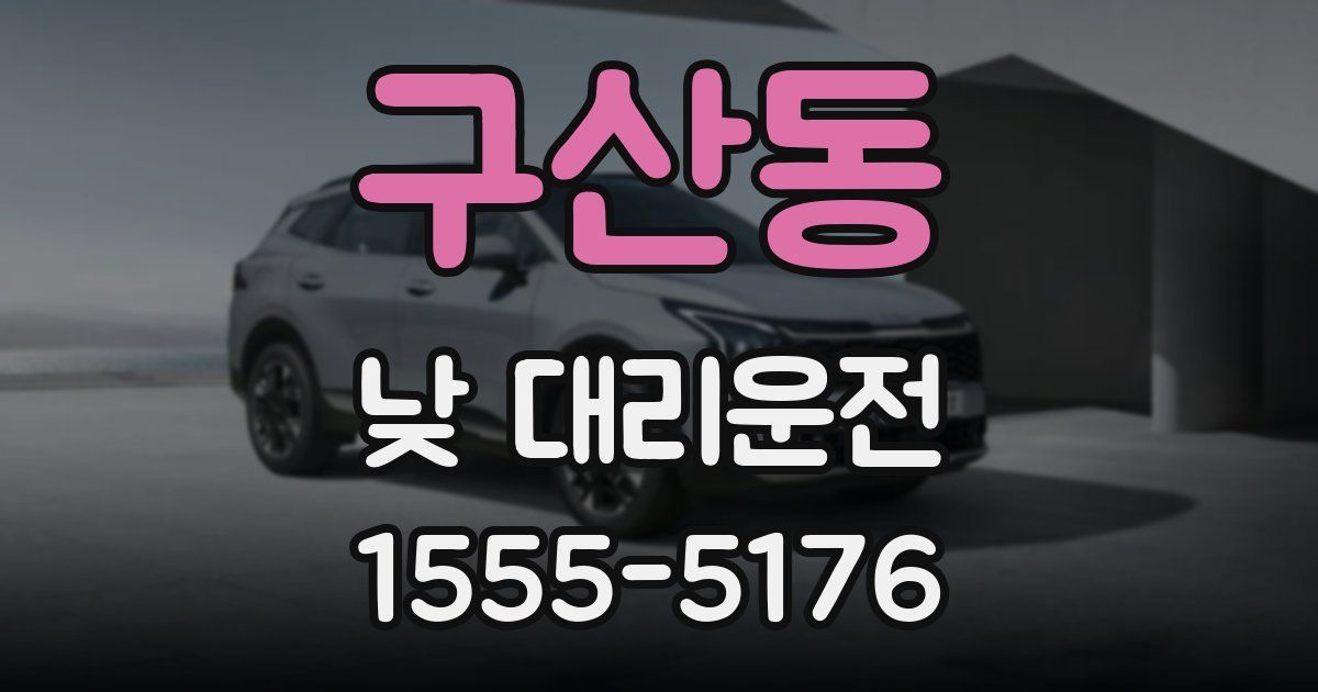 구산동 낮 대리운전