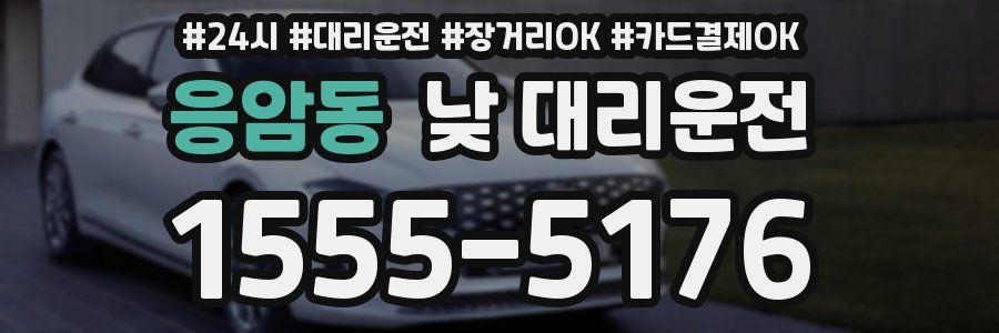 응암동 낮 대리운전