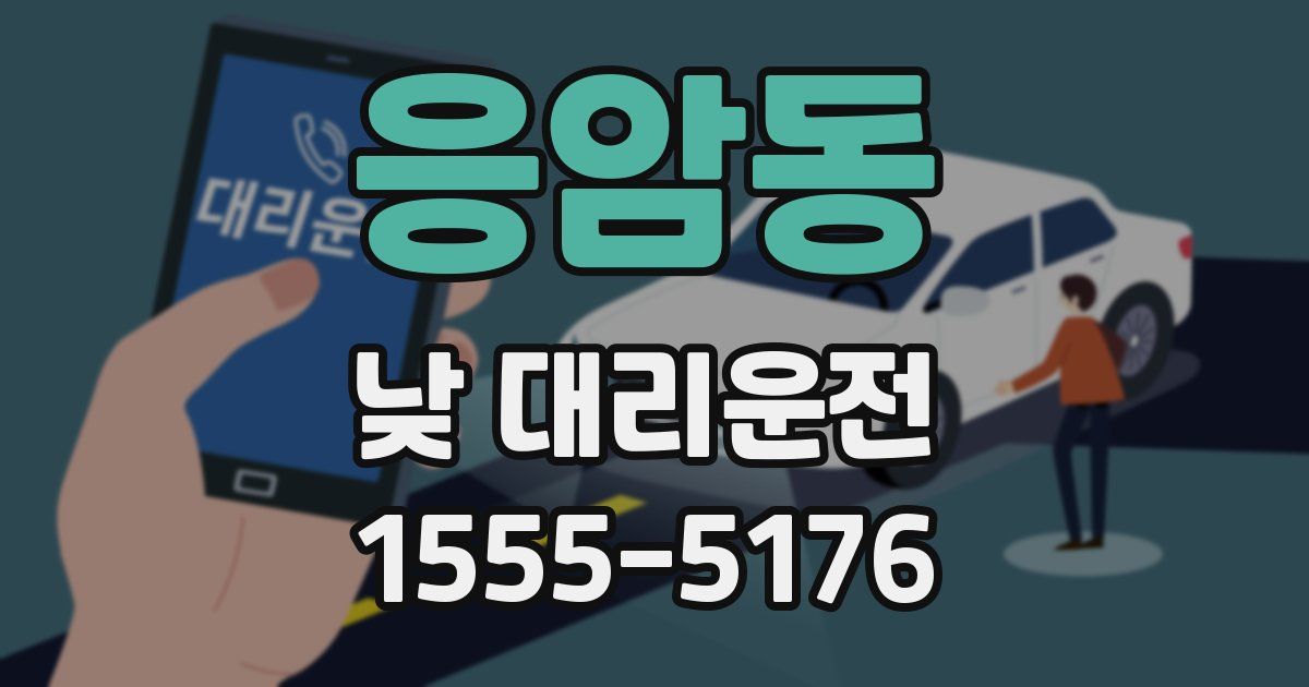 응암동 낮 대리운전