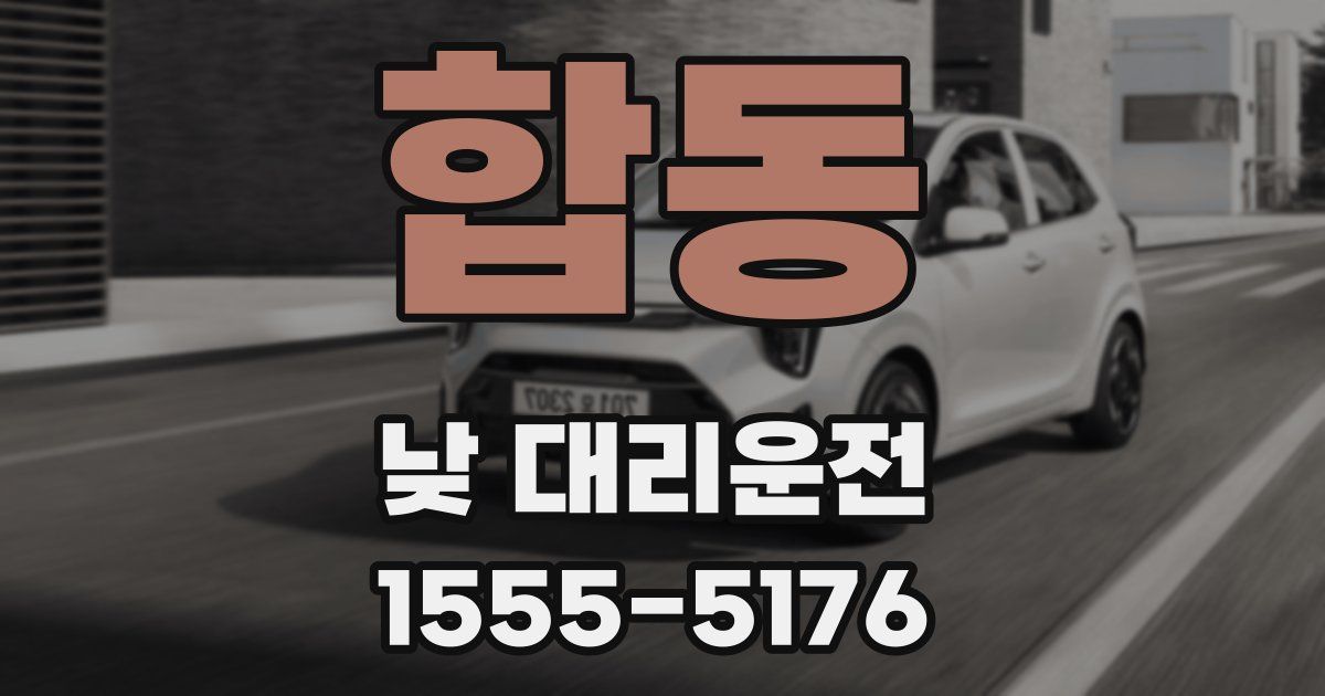 합동 낮 대리운전