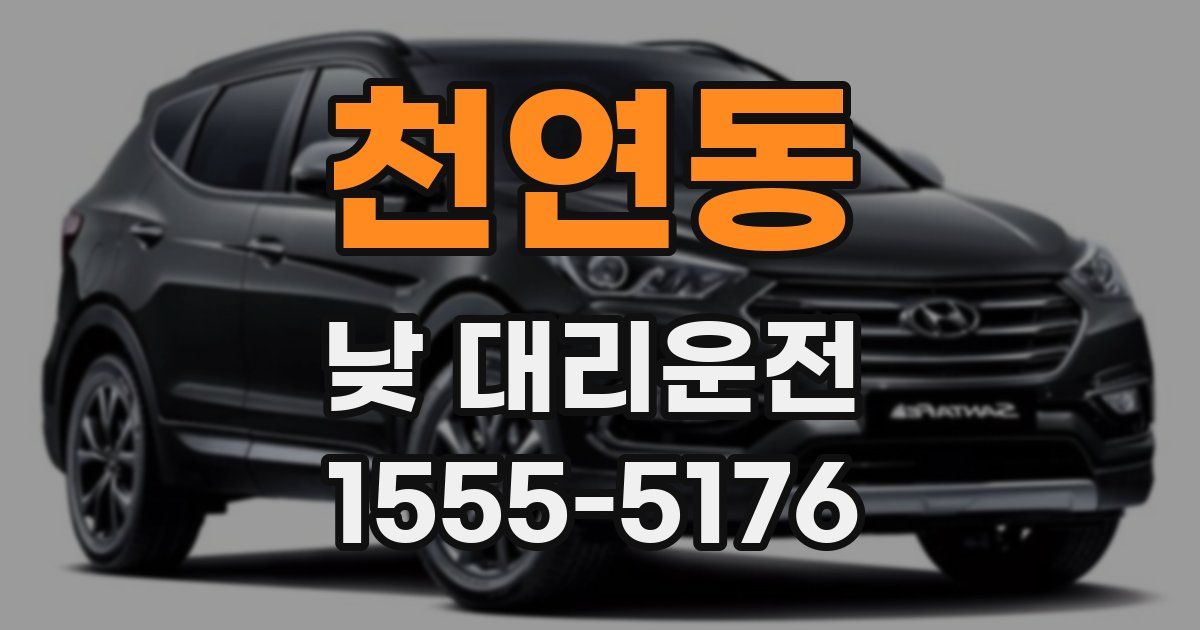 천연동 낮 대리운전