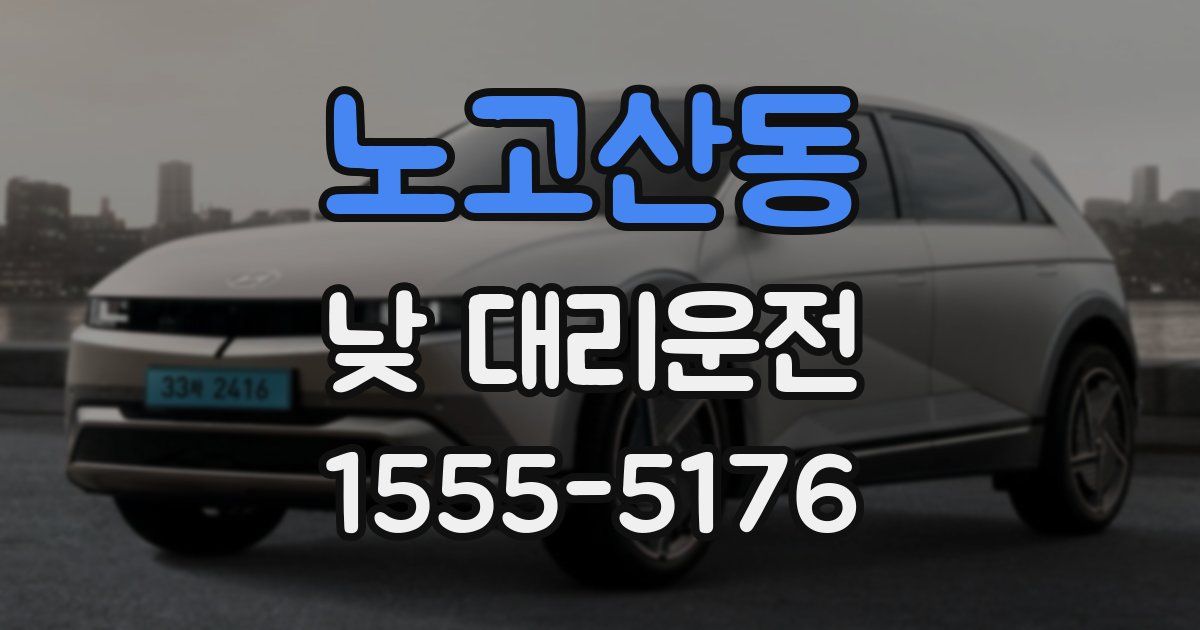 노고산동 낮 대리운전