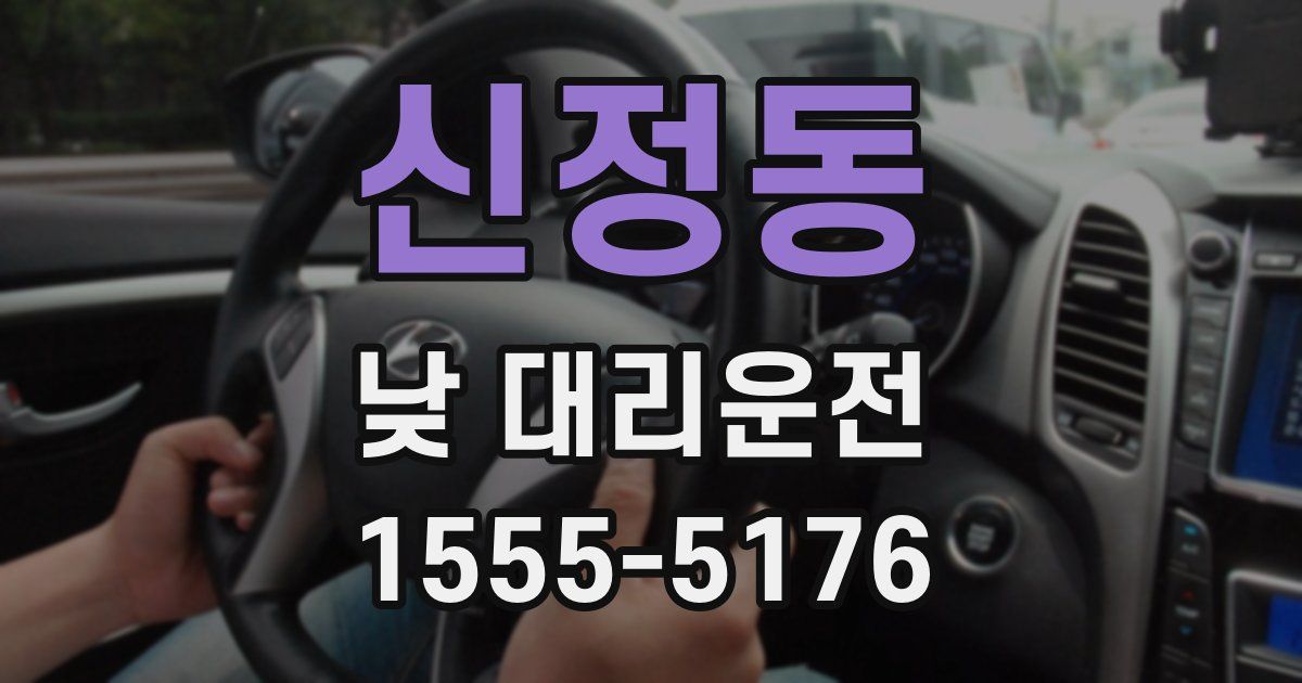 신정동 낮 대리운전