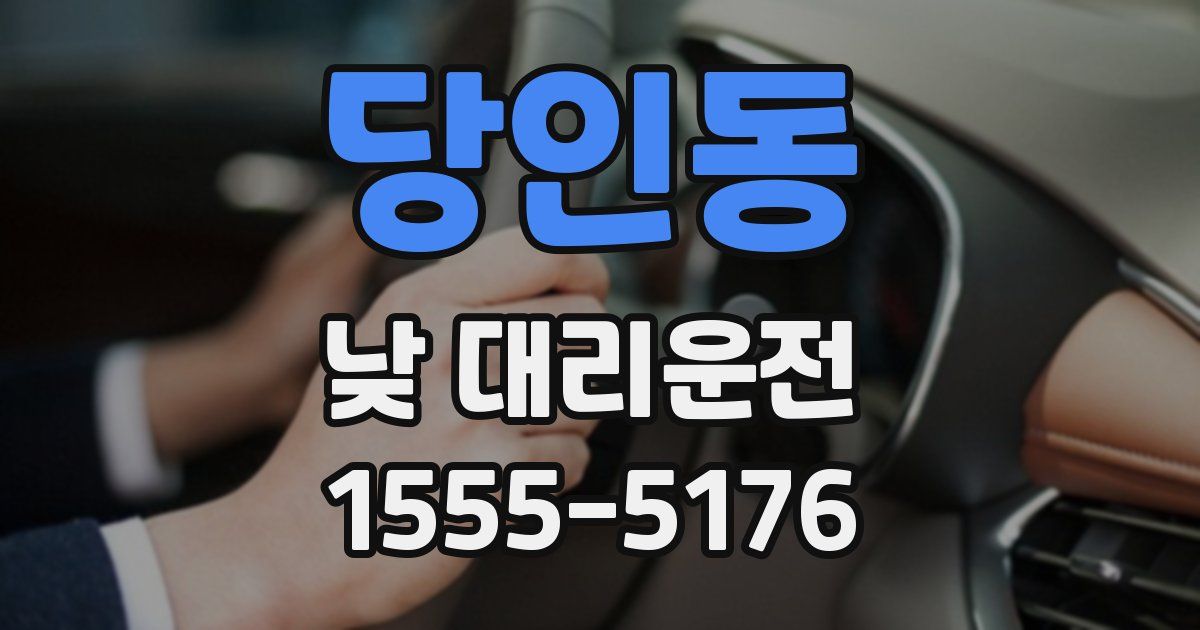 당인동 낮 대리운전