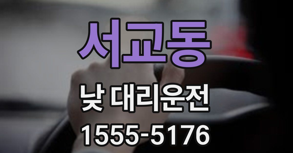 서교동 낮 대리운전