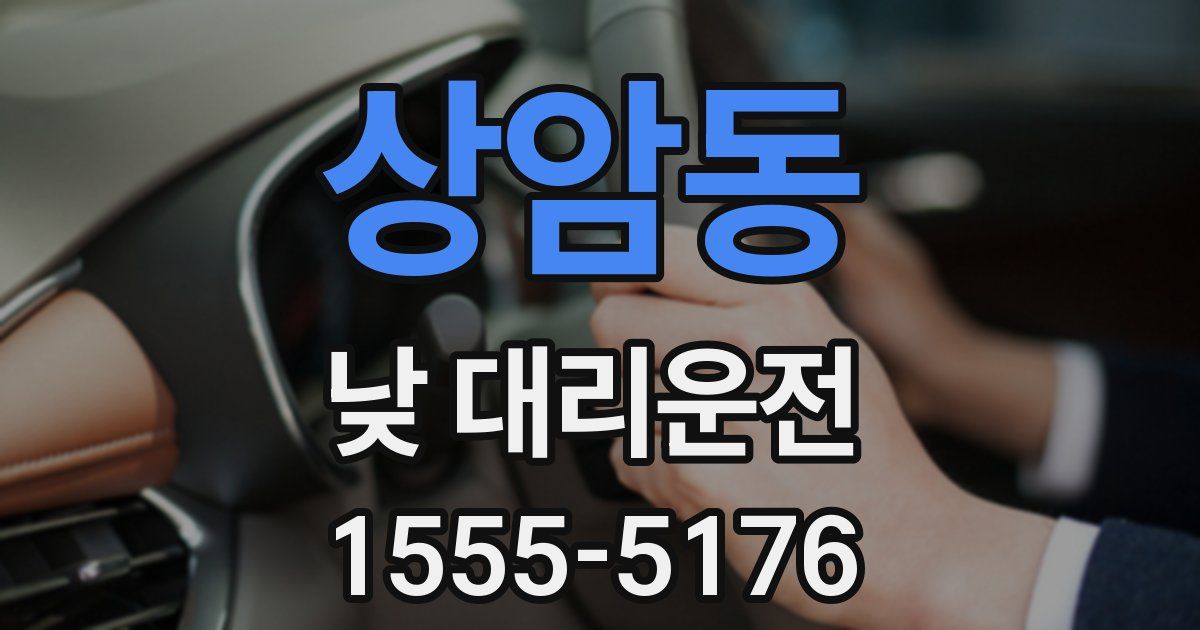 상암동 낮 대리운전