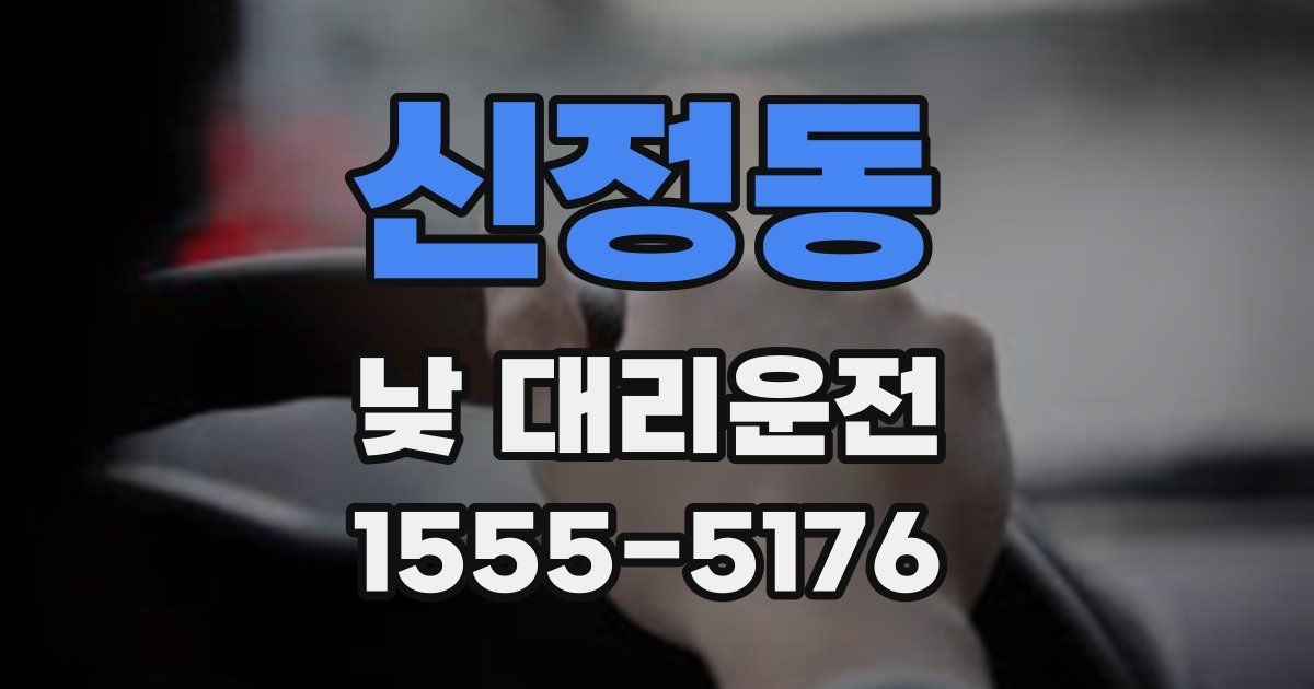 신정동 낮 대리운전