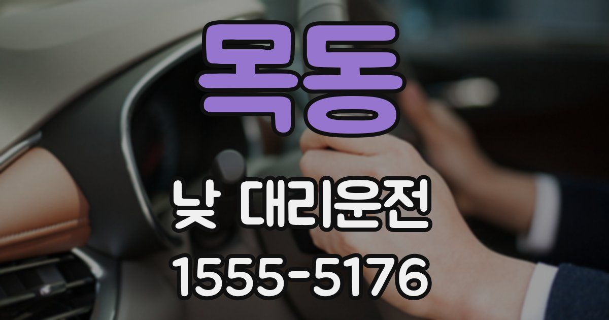 목동 낮 대리운전