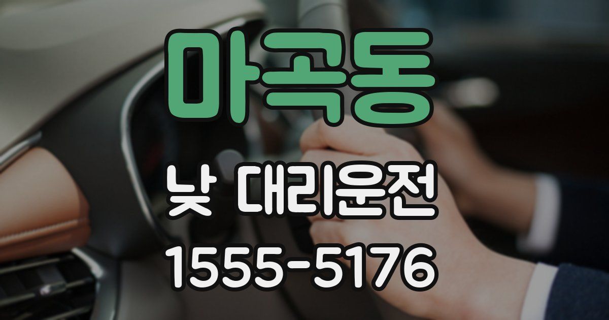 마곡동 낮 대리운전