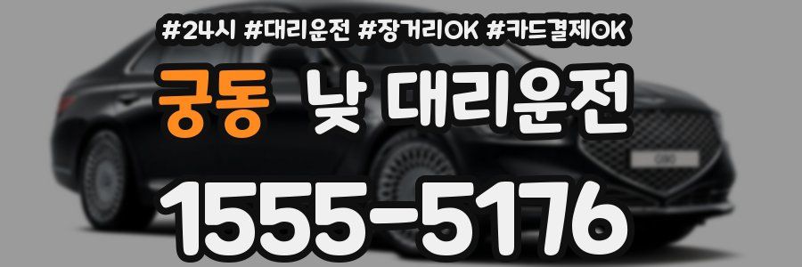 궁동 낮 대리운전