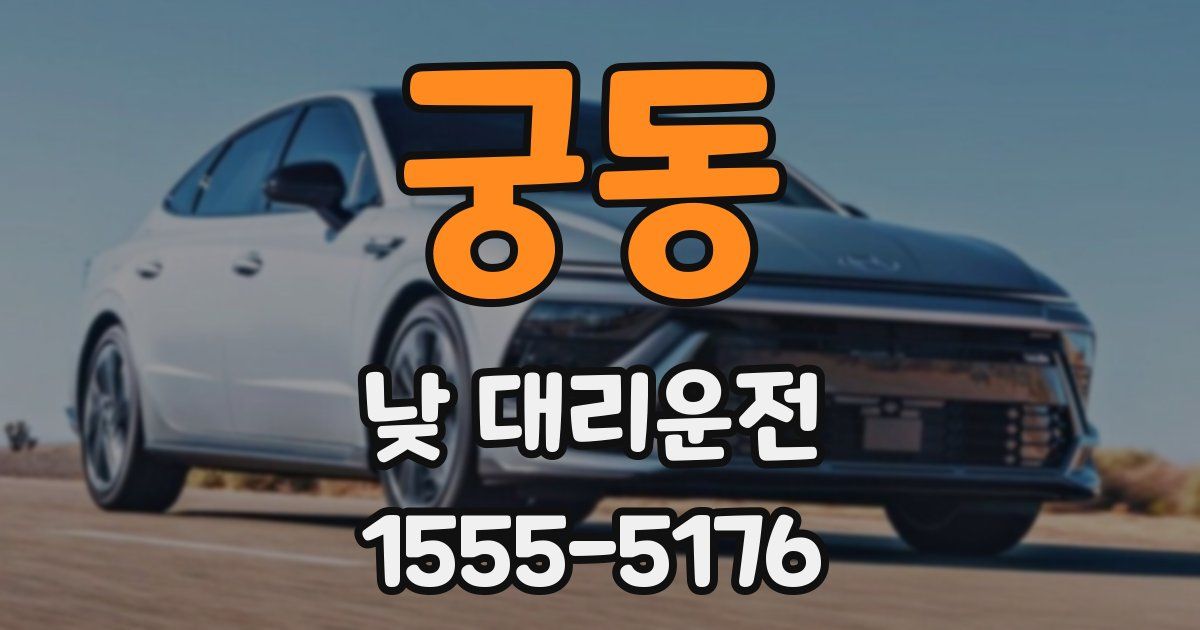 궁동 낮 대리운전