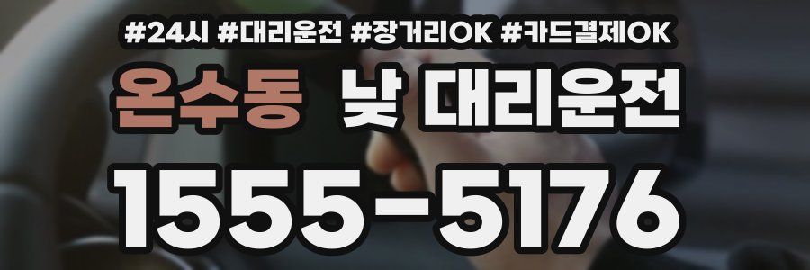 온수동 낮 대리운전