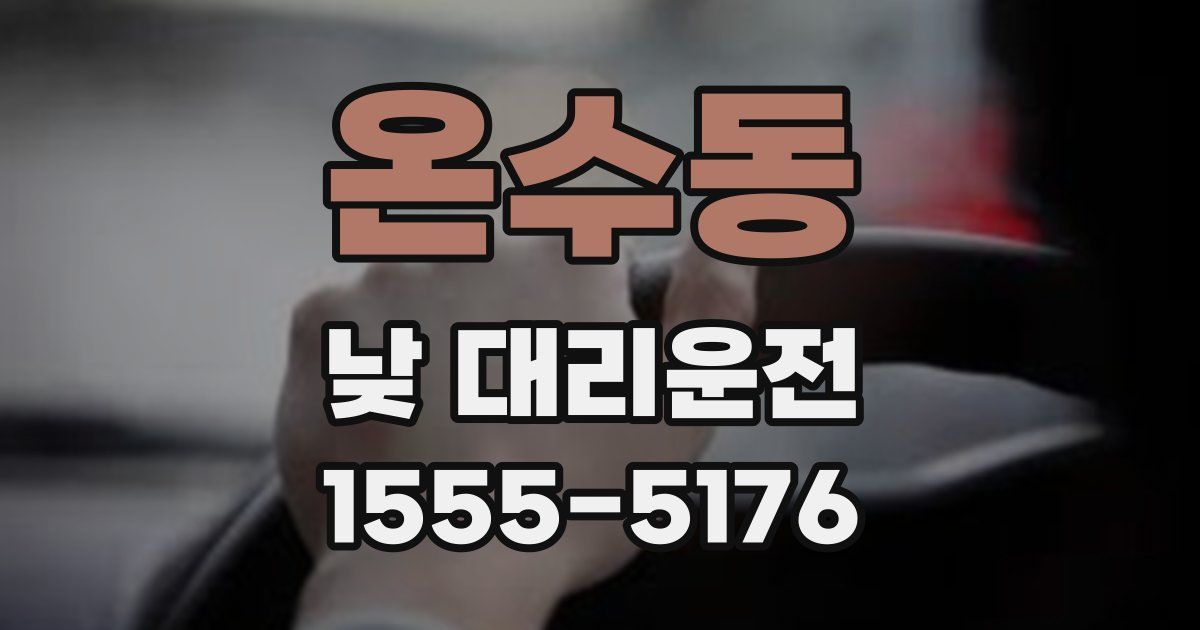 온수동 낮 대리운전