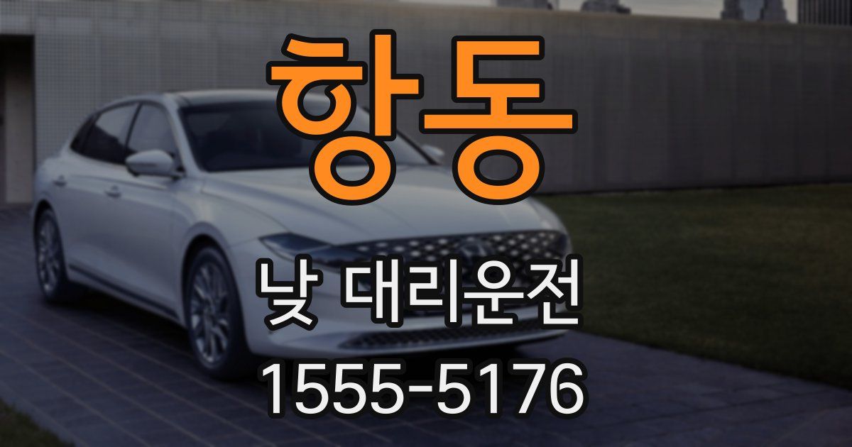 항동 낮 대리운전