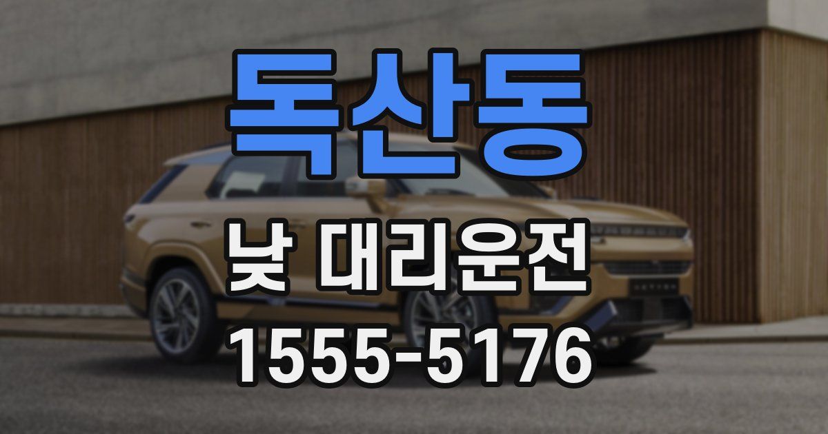 독산동 낮 대리운전